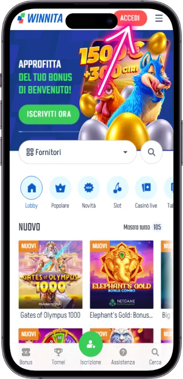 Winnita Pulsante Accedi